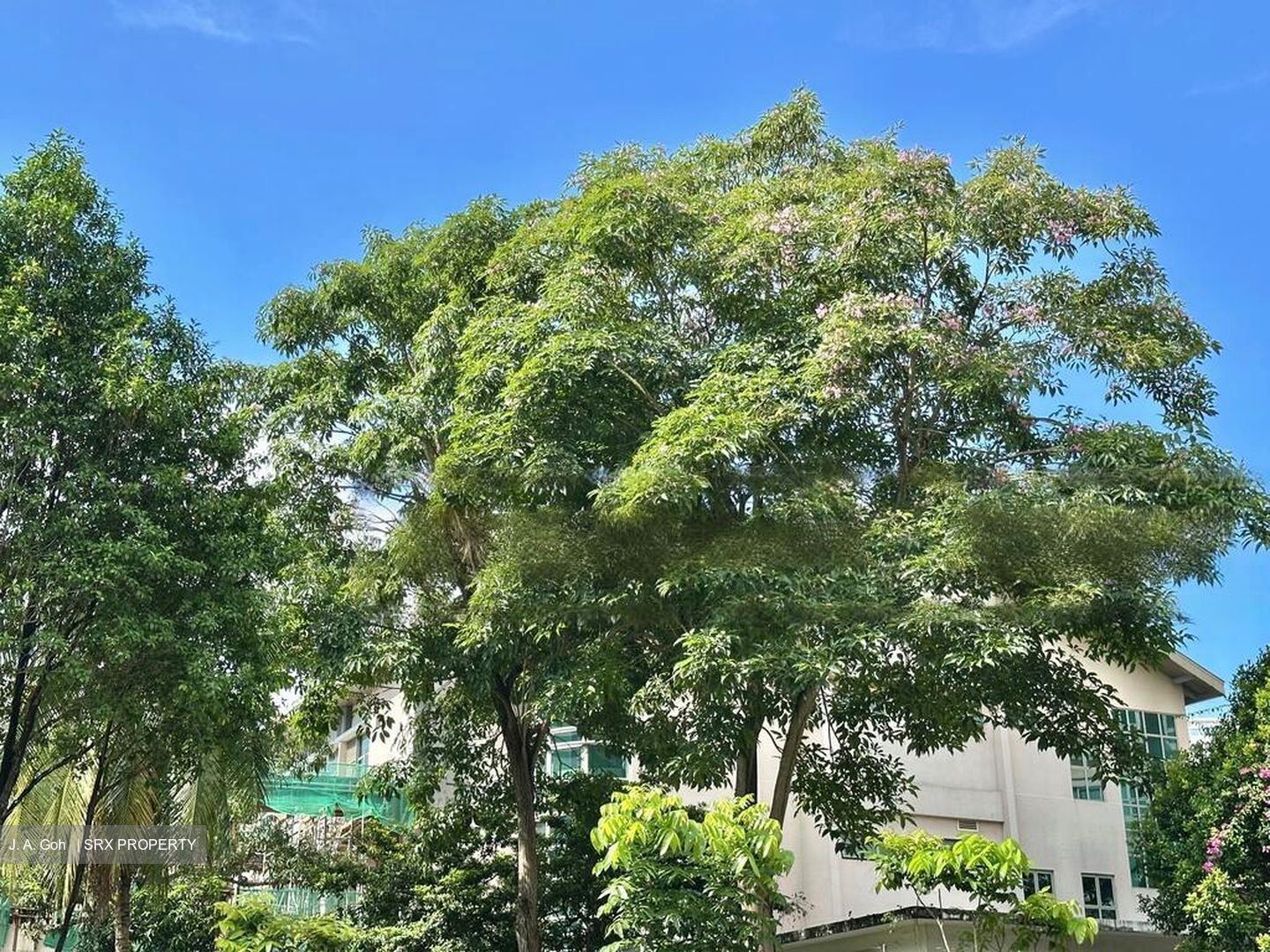 Jervois Mansion (D10), Apartment #449588191